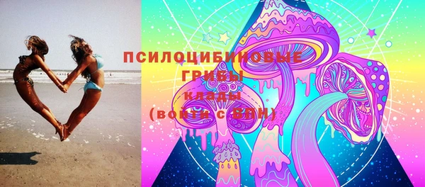 2c-b Армянск